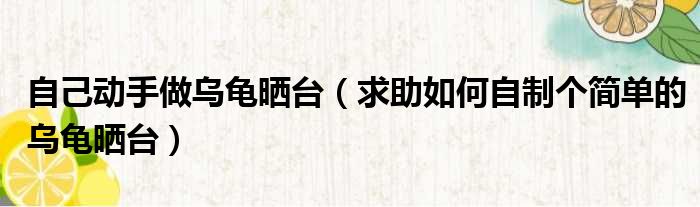 自己动手做乌龟晒台 求助如何自制个简单的乌龟晒台