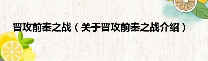 晋攻前秦之战 关于晋攻前秦之战介绍