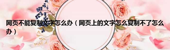 网页不能复制文字怎么办 网页上的文字怎么复制不了怎么办