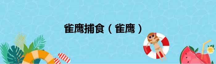 雀鹰捕食 雀鹰