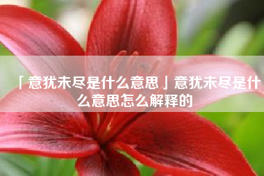  意犹未尽是什么意思意犹未尽是什么意思怎么解释的