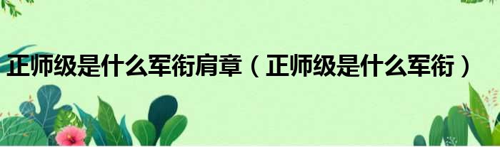 正师级是什么军衔肩章 正师级是什么军衔