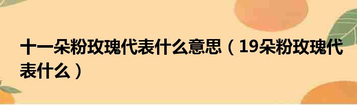 十一朵粉玫瑰代表什么意思 19朵粉玫瑰代表什么