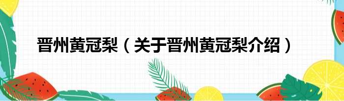 晋州黄冠梨 关于晋州黄冠梨介绍