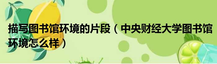 描写图书馆环境的片段 中央财经大学图书馆环境怎么样