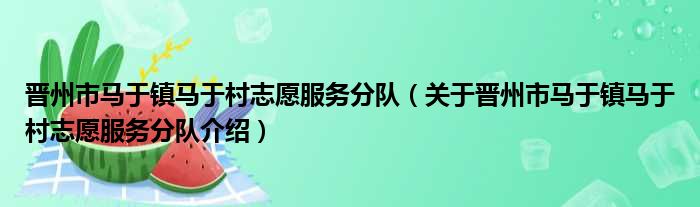 晋州市马于镇马于村志愿服务分队 关于晋州市马于镇马于村志愿服务分队介绍