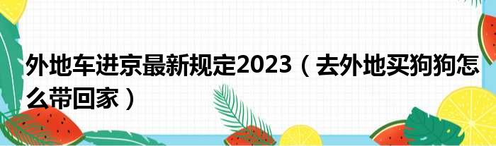 外地车进京最新规定2023 去外地买狗狗怎么带回家