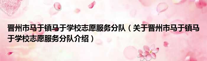晋州市马于镇马于学校志愿服务分队 关于晋州市马于镇马于学校志愿服务分队介绍