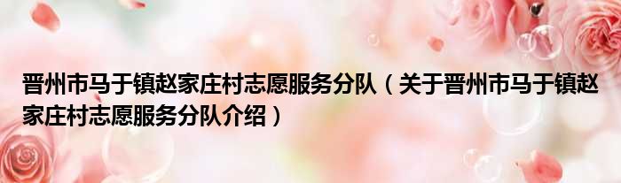 晋州市马于镇赵家庄村志愿服务分队 关于晋州市马于镇赵家庄村志愿服务分队介绍