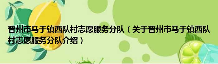 晋州市马于镇西队村志愿服务分队 关于晋州市马于镇西队村志愿服务分队介绍