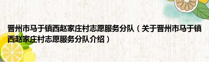 晋州市马于镇西赵家庄村志愿服务分队 关于晋州市马于镇西赵家庄村志愿服务分队介绍