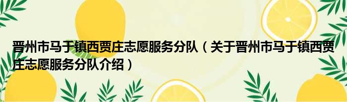 晋州市马于镇西贾庄志愿服务分队 关于晋州市马于镇西贾庄志愿服务分队介绍