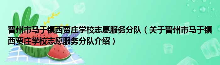 晋州市马于镇西贾庄学校志愿服务分队 关于晋州市马于镇西贾庄学校志愿服务分队介绍