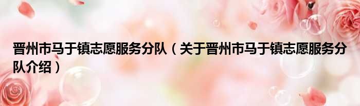 晋州市马于镇志愿服务分队 关于晋州市马于镇志愿服务分队介绍