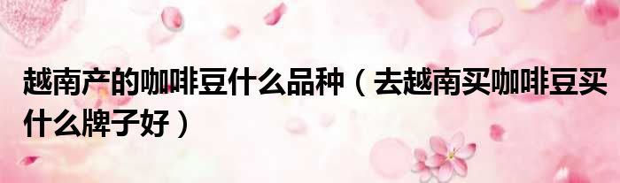 越南产的咖啡豆什么品种 去越南买咖啡豆买什么牌子好