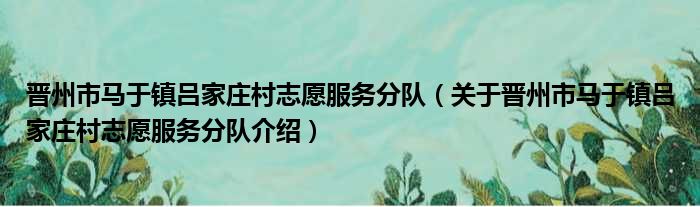 晋州市马于镇吕家庄村志愿服务分队 关于晋州市马于镇吕家庄村志愿服务分队介绍