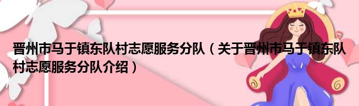 晋州市马于镇东队村志愿服务分队 关于晋州市马于镇东队村志愿服务分队介绍