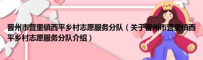 晋州市营里镇西平乡村志愿服务分队 关于晋州市营里镇西平乡村志愿服务分队介绍