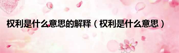 权利是什么意思的解释 权利是什么意思