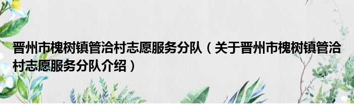 晋州市槐树镇管洽村志愿服务分队 关于晋州市槐树镇管洽村志愿服务分队介绍