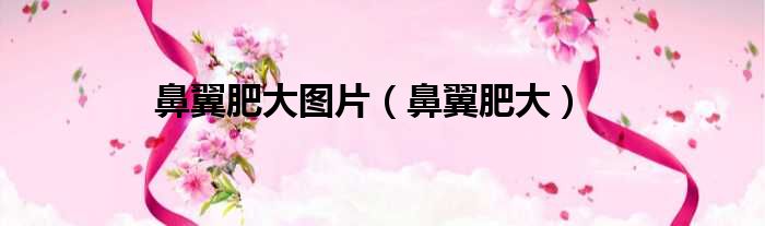 鼻翼肥大图片 鼻翼肥大