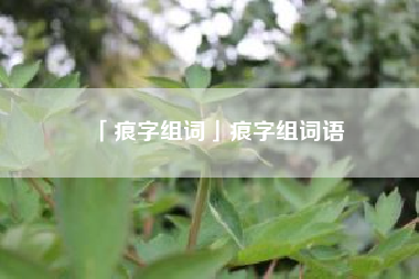  痕字组词痕字组词语