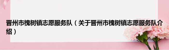 晋州市槐树镇志愿服务队 关于晋州市槐树镇志愿服务队介绍