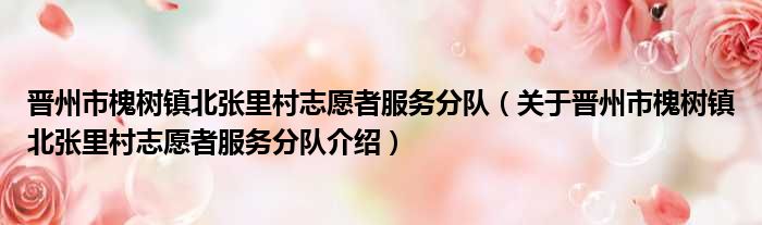 晋州市槐树镇北张里村志愿者服务分队 关于晋州市槐树镇北张里村志愿者服务分队介绍