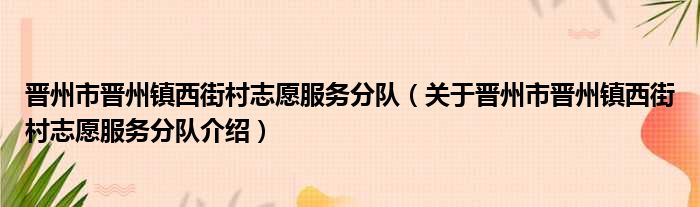 晋州市晋州镇西街村志愿服务分队 关于晋州市晋州镇西街村志愿服务分队介绍