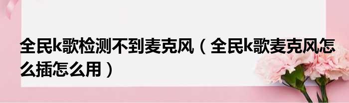 全民k歌检测不到麦克风 全民k歌麦克风怎么插怎么用