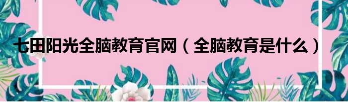 七田阳光全脑教育官网 全脑教育是什么