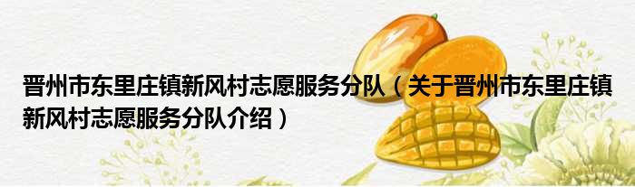 晋州市东里庄镇新风村志愿服务分队 关于晋州市东里庄镇新风村志愿服务分队介绍