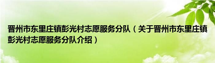 晋州市东里庄镇彭光村志愿服务分队 关于晋州市东里庄镇彭光村志愿服务分队介绍