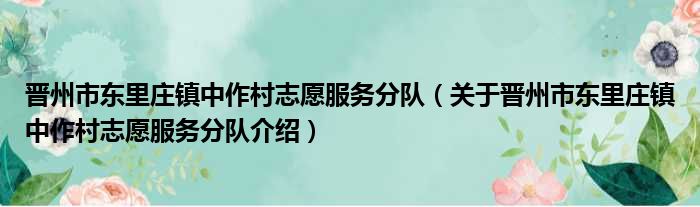 晋州市东里庄镇中作村志愿服务分队 关于晋州市东里庄镇中作村志愿服务分队介绍