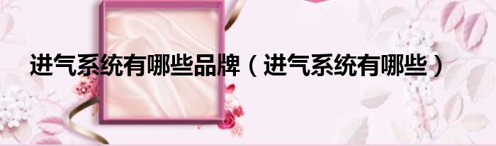 进气系统有哪些品牌 进气系统有哪些