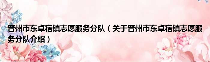 晋州市东卓宿镇志愿服务分队 关于晋州市东卓宿镇志愿服务分队介绍