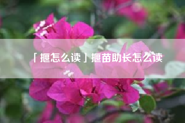  揠怎么读揠苗助长怎么读