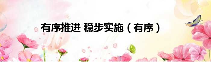 有序推进 稳步实施 有序