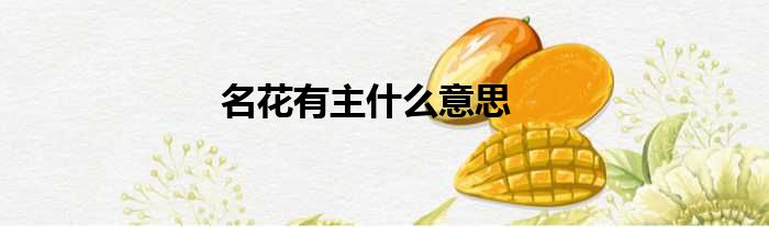 名花有主什么意思
