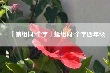  蜻组词2个字蜓组词2个字四年级