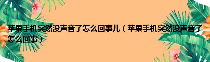 苹果手机突然没声音了怎么回事儿 苹果手机突然没声音了怎么回事