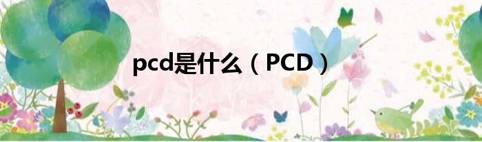 pcd是什么 PCD