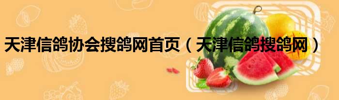 天津信鸽协会搜鸽网首页 天津信鸽搜鸽网
