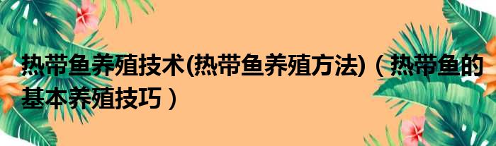 热带鱼养殖技术 热带鱼养殖方法 热带鱼的基本养殖技巧