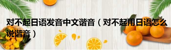 对不起日语发音中文谐音 对不起用日语怎么说谐音