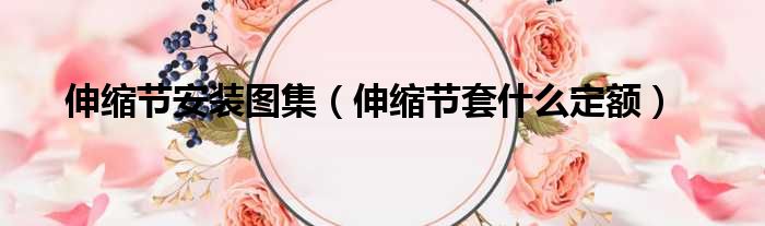 伸缩节安装图集 伸缩节套什么定额