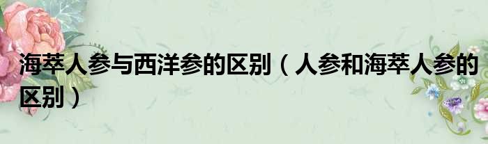 海萃人参与西洋参的区别 人参和海萃人参的区别