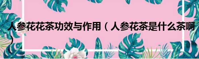 人参花花茶功效与作用 人参花茶是什么茶啊