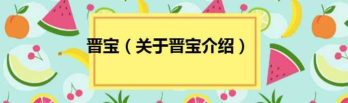 晋宝 关于晋宝介绍