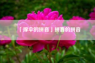  撑伞的拼音拼音的拼音